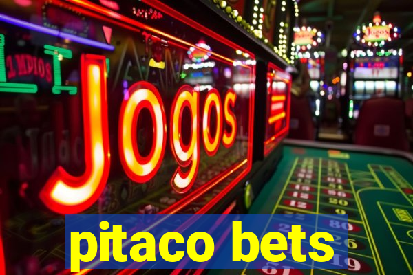 pitaco bets